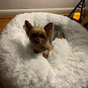 Meet your Posher, Jessel